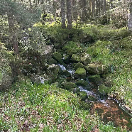 Alpehytte De Luxe -8 Pers- Sauna - Vues & Montagne Gérardmer