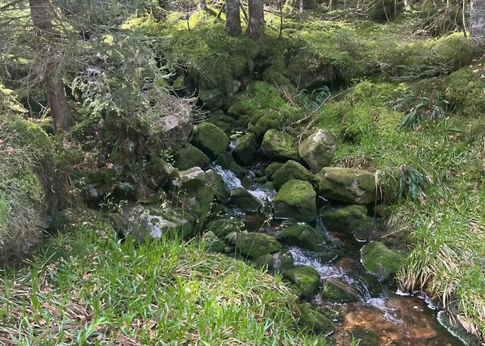 シャレー De Luxe -8 Pers- Sauna - Vues & Montagne ジェラールメ